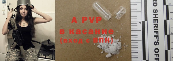 гашик Михайловск