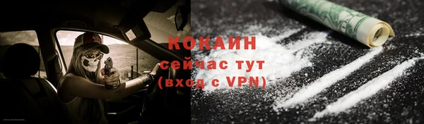 гашик Михайловск