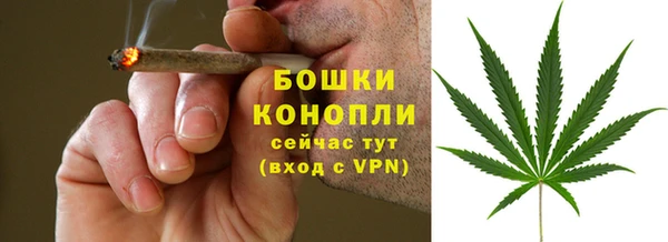 гашик Михайловск