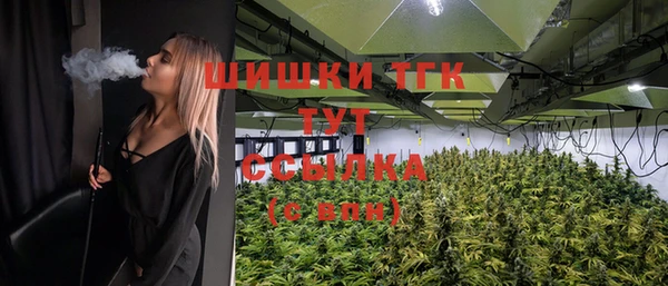 шишки Михайлов