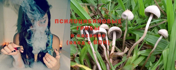 шишки Михайлов