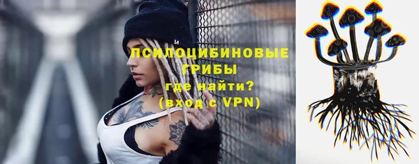 шишки Михайлов
