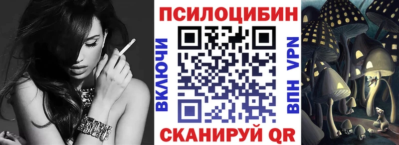 ОМГ ОМГ зеркало  Цивильск  Галлюциногенные грибы Psilocybine cubensis 